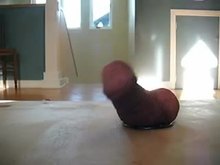 Cock Torture at home