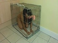 Caged pet girl training