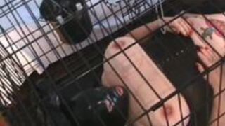 Cunt torment in Cage