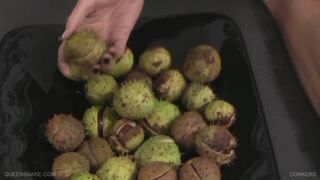 Conkers Part 1 - Queensnake