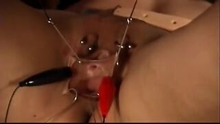 Pussy electro tormentd