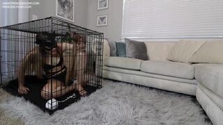 Ivvvry Roommate Girl Is Caged Now And Worship Her Feet Every