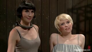 Alani Pi Head Shaved Slut Live Show Part 1