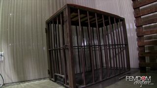 HD FEMDOM EMPIRE Austin Lynn Sissy Butt Slut
