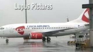 Disciplined Slave girls