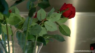 SEX AND SUBMISSION - The Anniversary Slut