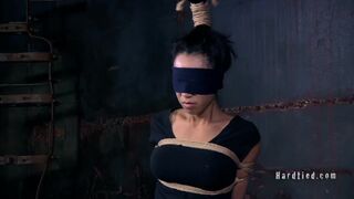 HARDTIED - ﻿﻿﻿Tia Ling Objectified