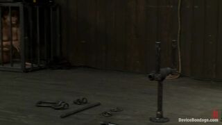 The Human Centipede AKA The Double Doggy