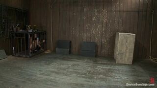 Aphla & Omega working together to make little bitches cum like slutsYou don't see this everyday