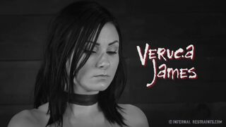 INFERNAL RESTRAINTS - Veruca James - Pussy On The Pole