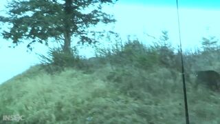 INFERNAL RESTRAINTS - Hitcher