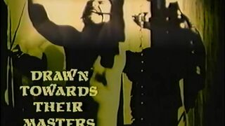 Naked they walk - S&M trilogy