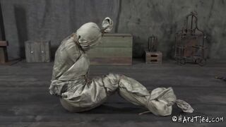 HARDTIED - ﻿﻿﻿Sasha, Claire Adams Sweet Cream