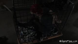 HARDTIED - Claire Adams Bent