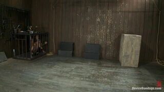 Aphla & Omega working together to make little bitches cum like sluts You don't see this everyday