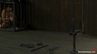 The Human Centipede AKA The Double Doggy