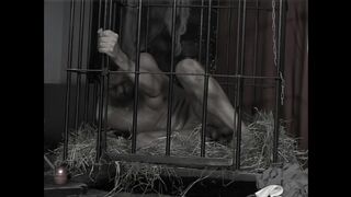 SM HOSPITAL - Chapter #01