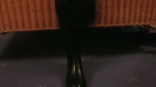 Clean My Boots Bitch - Femdom Video