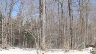 Selfbondage - Outdoor snow