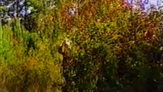 Bondage in the forest