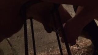 Female domination - Sissy Getting Dominanted And CBT