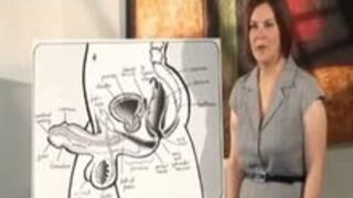 Want info about Strap-on? Strap-on Instructions