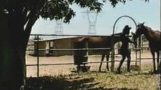 Horse Thief Caught and Trained as Pony Girl
