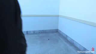 Training of Harmony - Part 1