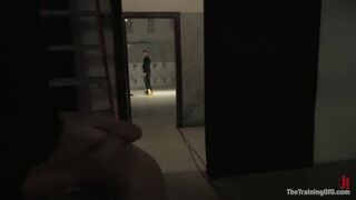 Training of Harmony - Part 4