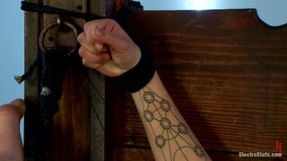 Lorelei Lee And Bianca Stone