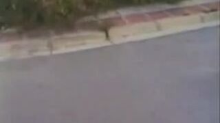 Outdoor Humiliation - Dogging lady