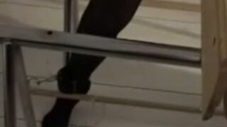 Wooden pony - Long Pony Ride