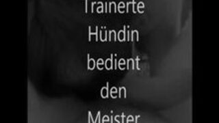Trainierte Huendin bedient den Meister