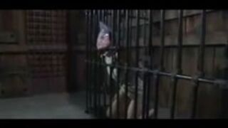 Bizarre BDSM torment