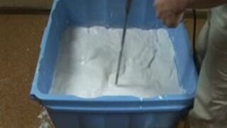 Japan sweet broad is Casted in Concrete Box