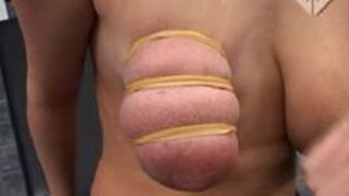 Method of udder dilation