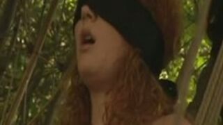 Audrey Hollander in Bondage and Use Outdoors