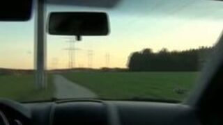 German Mistress and her chaffeur