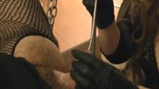 Sounding for sissy cock