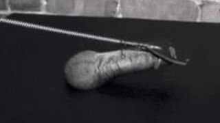 Black Cock Whipped and Trampled - CBT