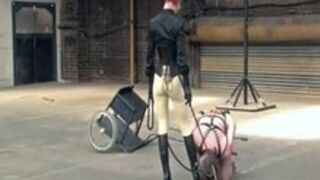 Femdom - Pony Training Stables