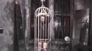 Slave Felix and His Mistress