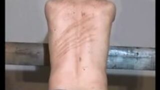 Whipping Stock - Extreme Femdom