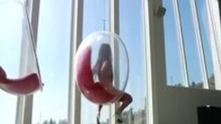 Bimbo taken rough and hard