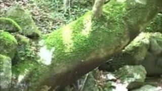 Japanese Pain and Punishment