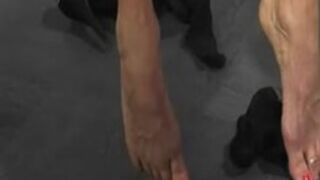 Hardcore Wooden Pony Queensnake