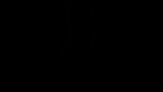 Cloth Pins - Queensnake