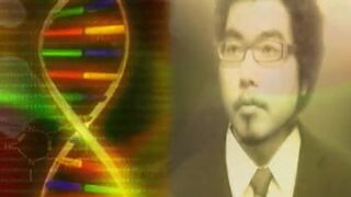 Japanese Objectification