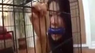 Caged Lesbian Pet