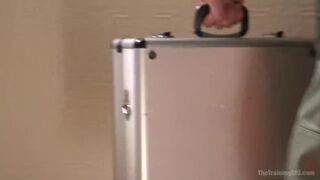 Domestic Obedience Training